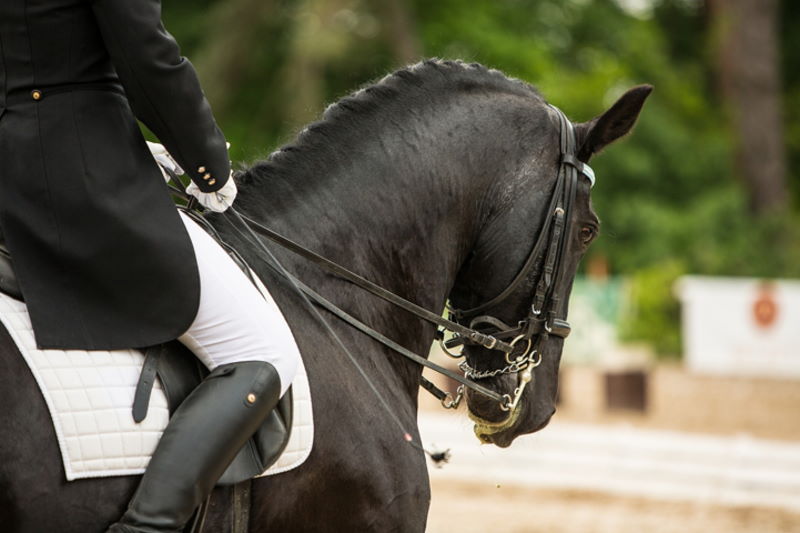 Olympia 2024 Ergebnisse Reiten Josee Malissa