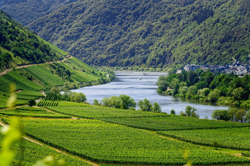 Mosel, Rhein, entspannter Urlaub, wein genießen