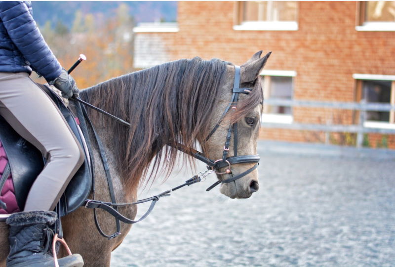 Reiten in der Reitanlage