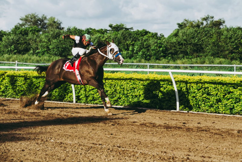 Königswettbewerb des Reitsports: Royal Ascot