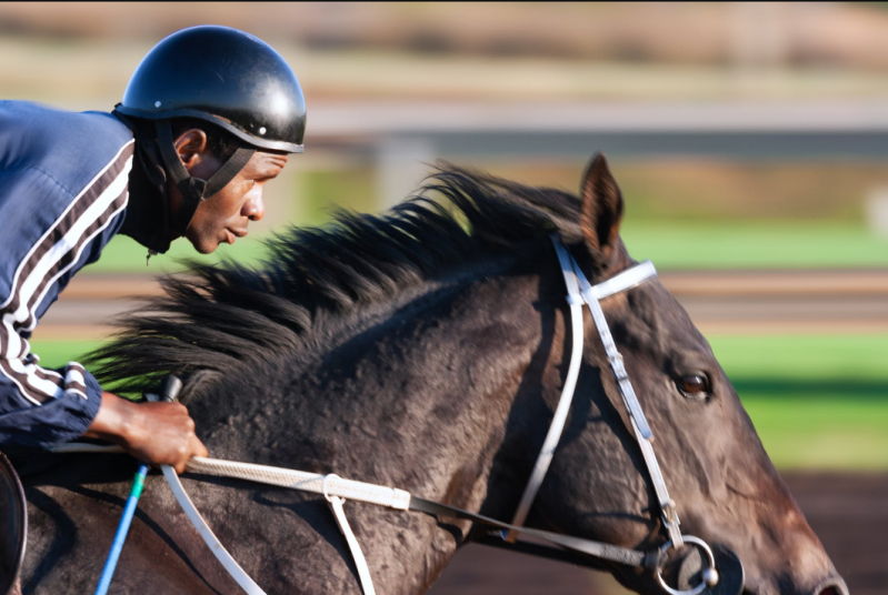 Königswettbewerb des Reitsports: Royal Ascot