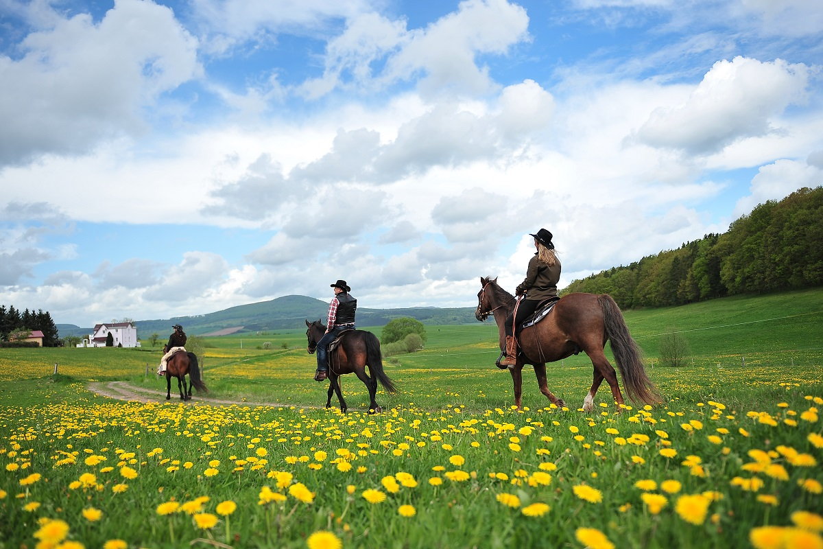 Bilder Westernreiten + Freizeitreiten RhÃ¶n, ThÃ¼ringen