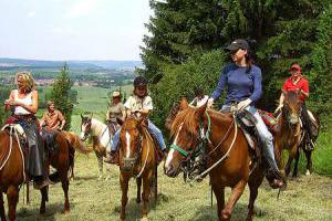 Westernreiten - Freizeitreiten in der Thüringischen Rhön