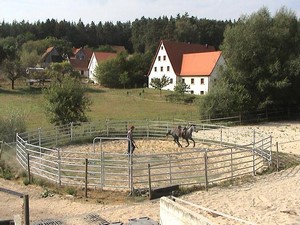 Ausbildung im Rounpen