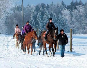 Winterspaß mit dem Pferd